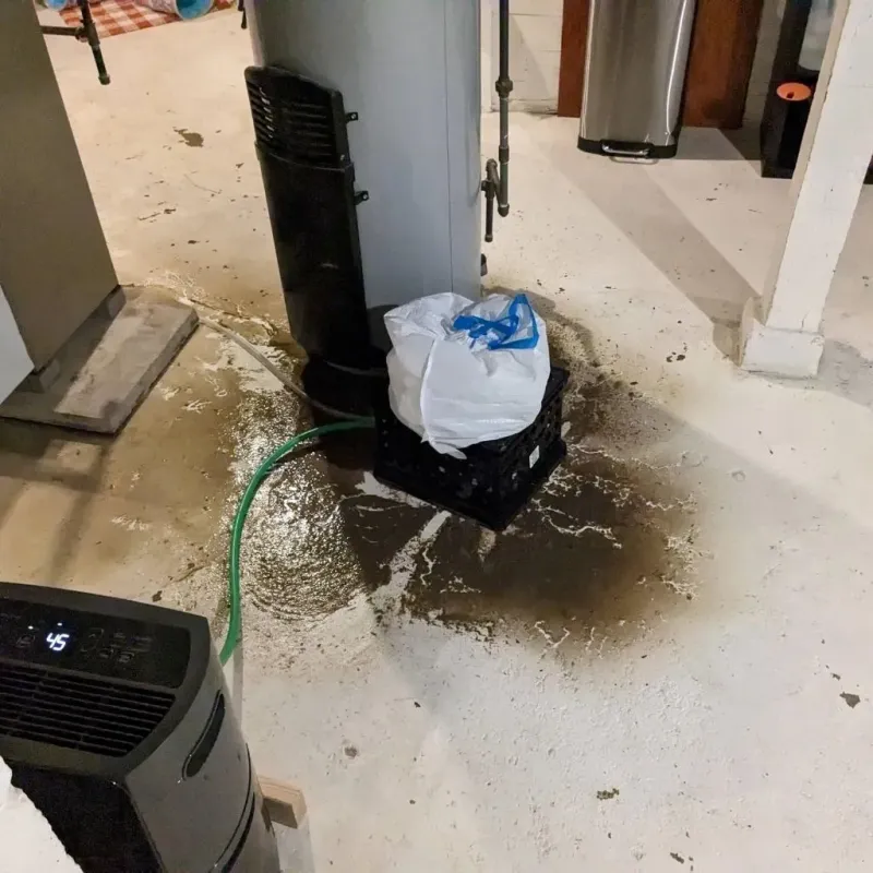 Sewage Backup Cleanup Service in Colstrip, MT